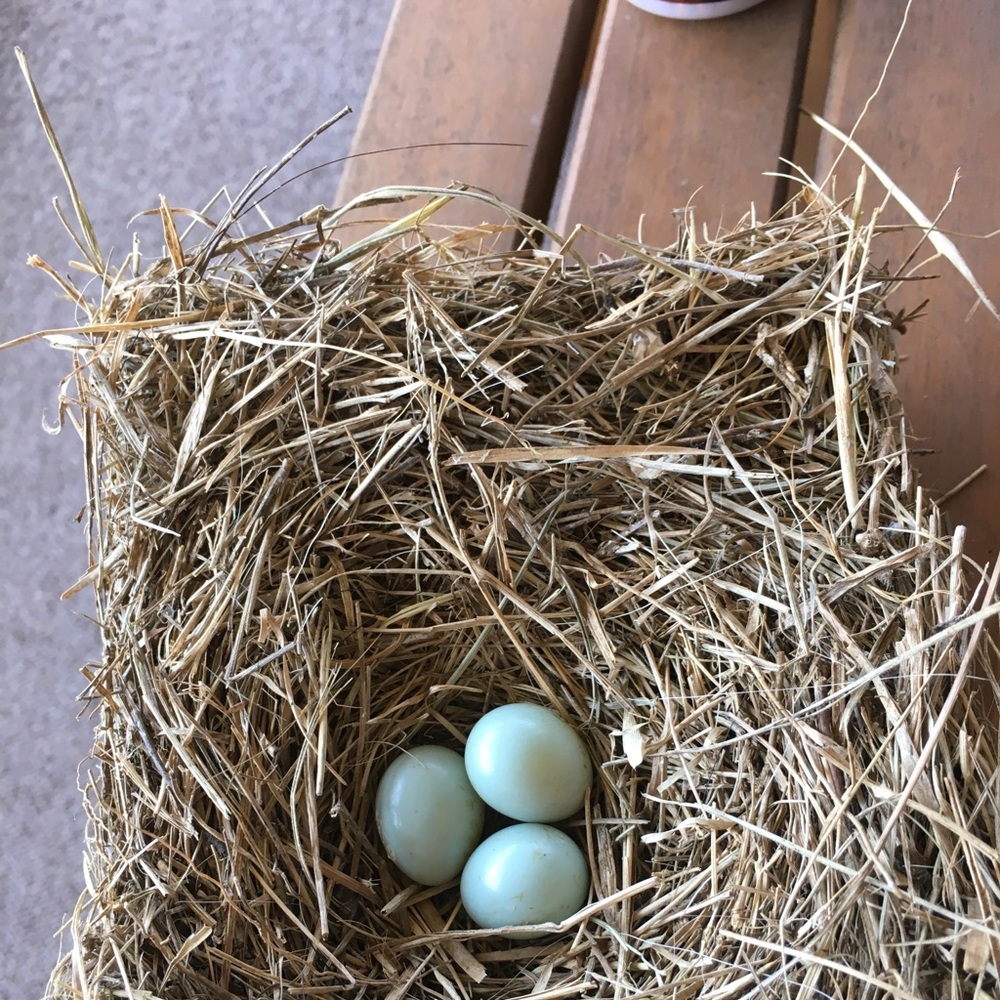 Meet your Posher, Teena